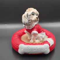 Custom 3D Pet Keepsake Figurine – Personalized Pet Memorial or Celebration