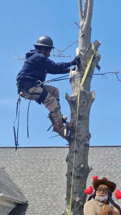 Custom Tree Climber 3D Figurine – Personalized Arborist Sculpture